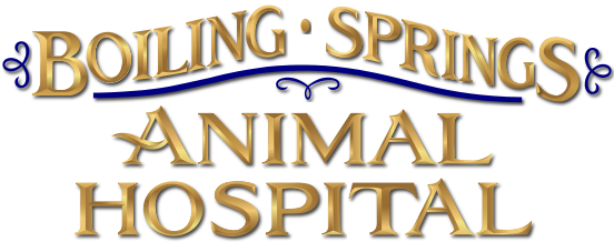 Boiling Springs Animal Hospital